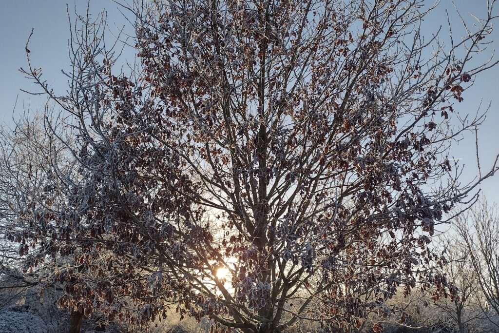 IMG_20221214_140744662_HDR